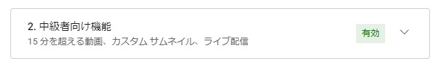 YouTube 上級者向け機能有効